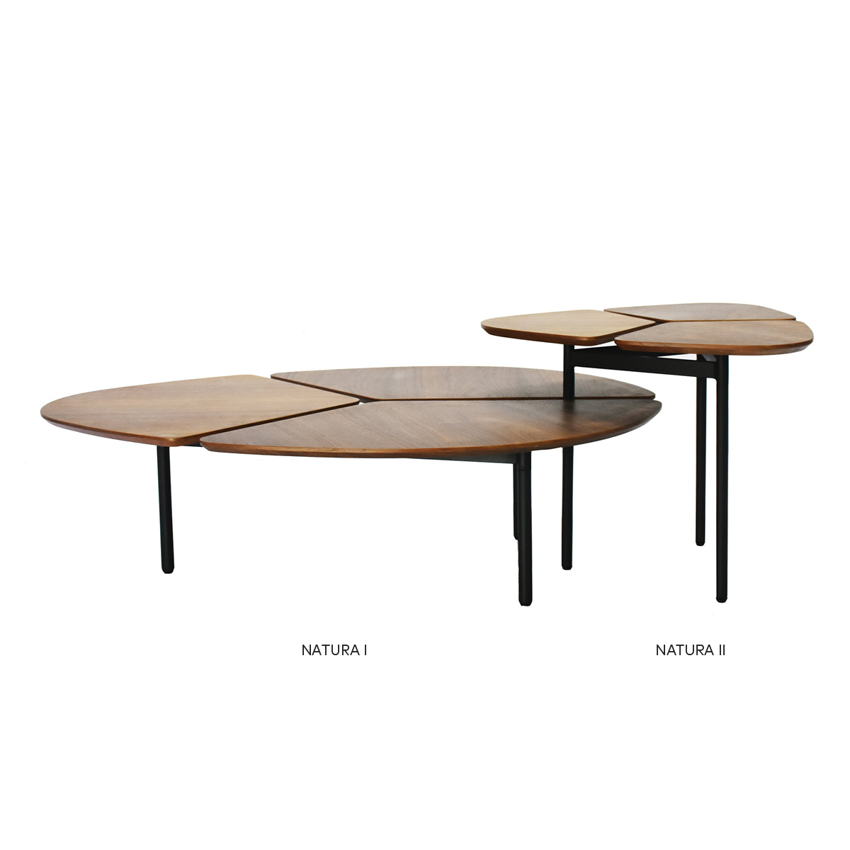 Mesa de Centro Natura I